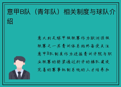 意甲B队（青年队）相关制度与球队介绍